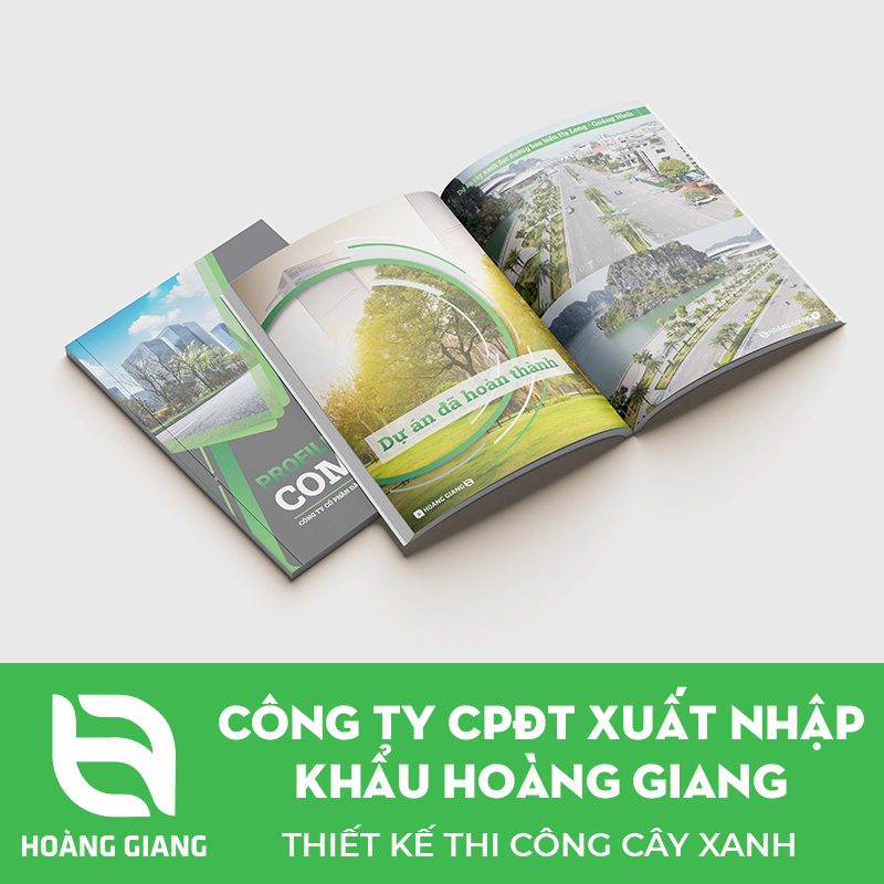 Hồ sơ năng lực Hoàng Giang