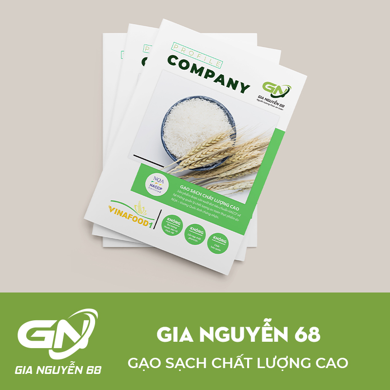 Hồ sơ năng lực Gia Nguyễn