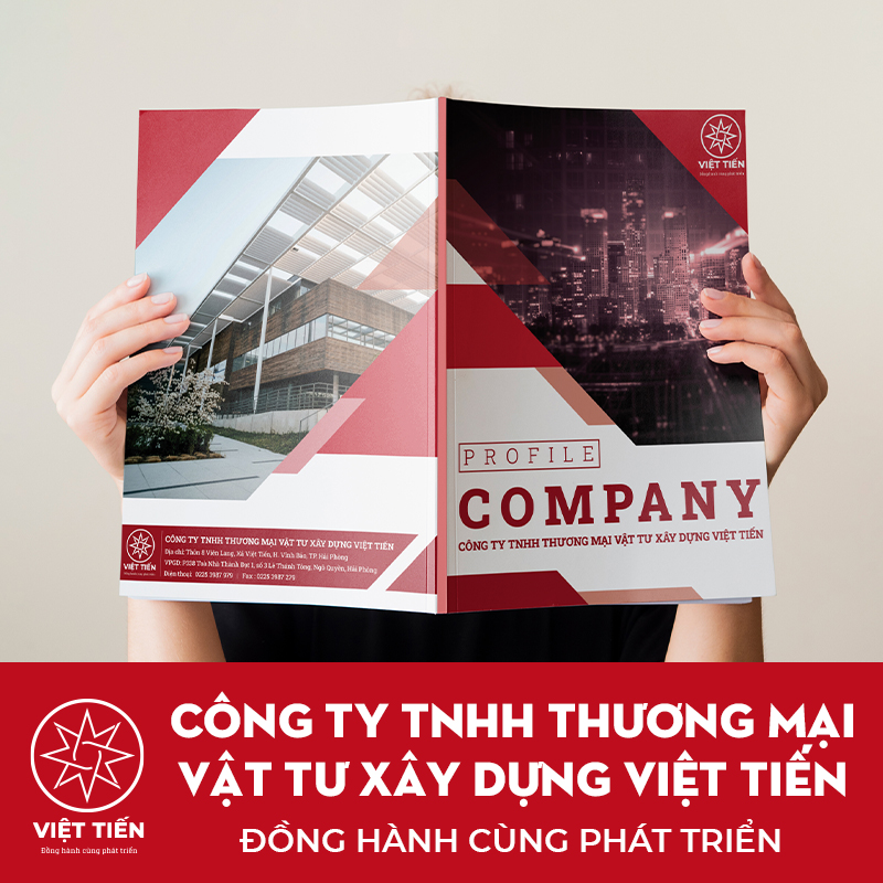 Hồ sơ năng lực Việt Tiến